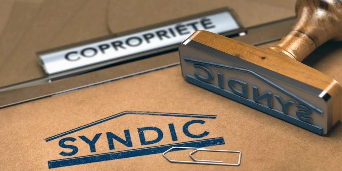 syndic professionnel maroc