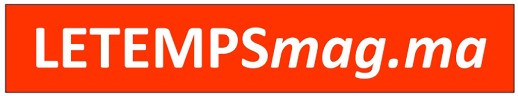 LOGO-BIGMAG